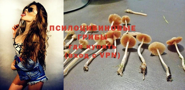 крисы Алексин