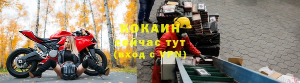 крисы Алексин