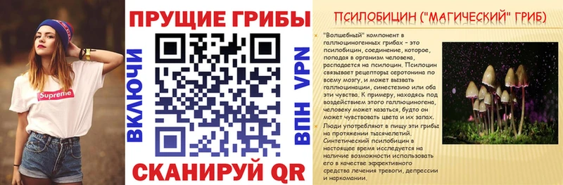 цены наркотик  Жуковский  Галлюциногенные грибы Magic Shrooms 