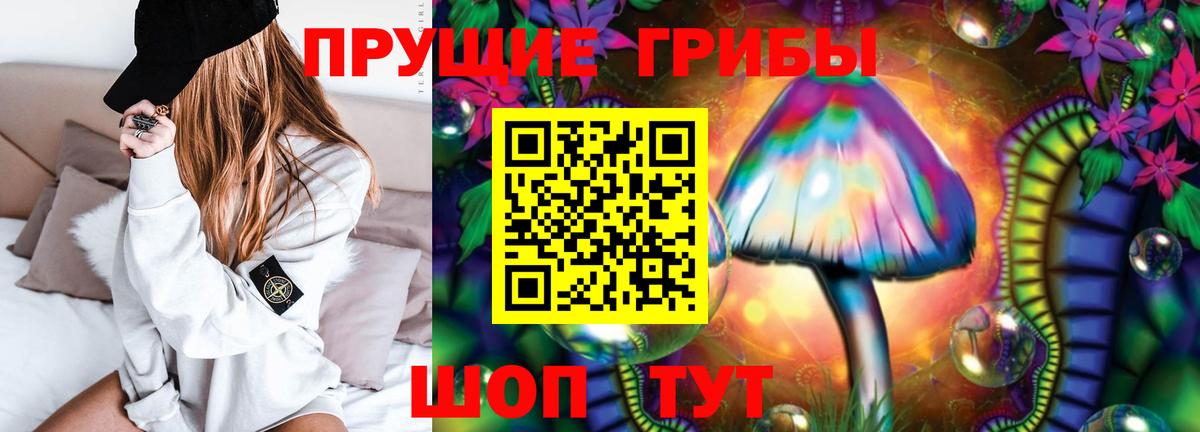 Галлюциногенные грибы MAGIC MUSHROOMS  Псилоцибиновые грибы Magic Shrooms  Вход с VPN  Жуковский 