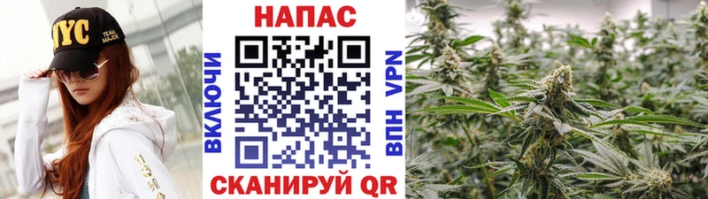 МАРИХУАНА планчик  закладки  Жуковский 